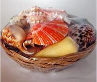 Набор раковин Фрукты моря в корзинке (19см)