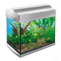Аквариум для креветок AquaArt Shrimps Discover Line 20л 38х26х34см