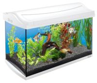Аквариум AquaArt Discover Line белый 60л 60х31х42см