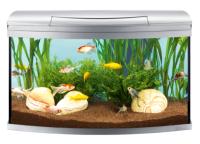 Аквариум Tetra AquaArt® Evolution Line 100л 77x38x48см