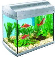Аквариум AquaArt Discover Line 20л 38х26х34см