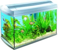 Аквариум AquaArt Discover Line 60л 60х31х42см