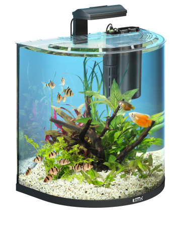 Аквариум дуговой Tetra AquaArt Explorer Line Tropical 60л