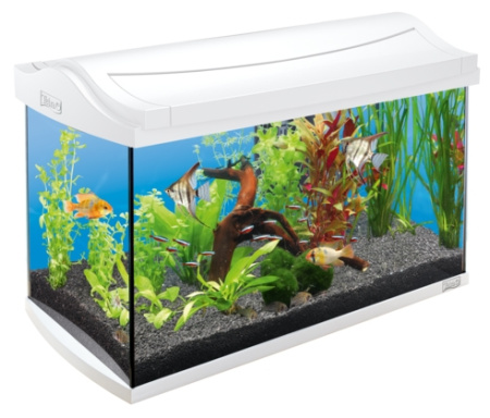 Аквариум AquaArt Discover Line белый 60л 60х31х42см